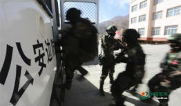 反恐视频,揭秘现代反恐视频中的实战智慧