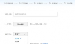 视频翻译字幕软件,智能翻译软件的革新应用